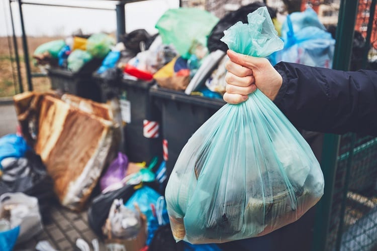 Plastic Bag In Hand