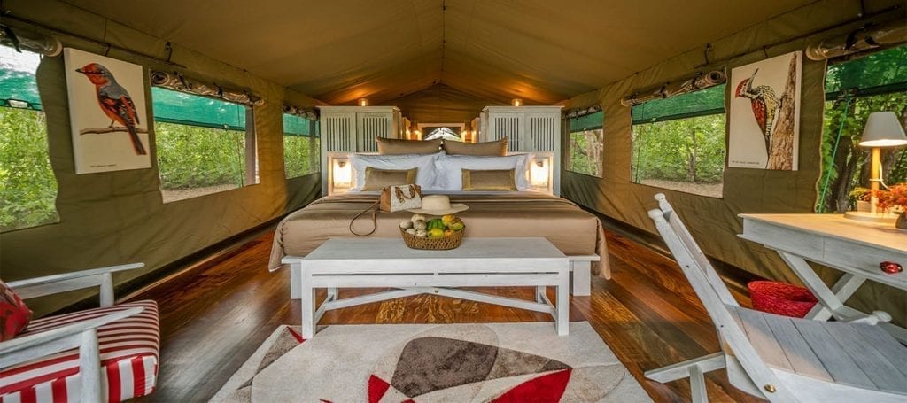 Flameback Eco Lodge