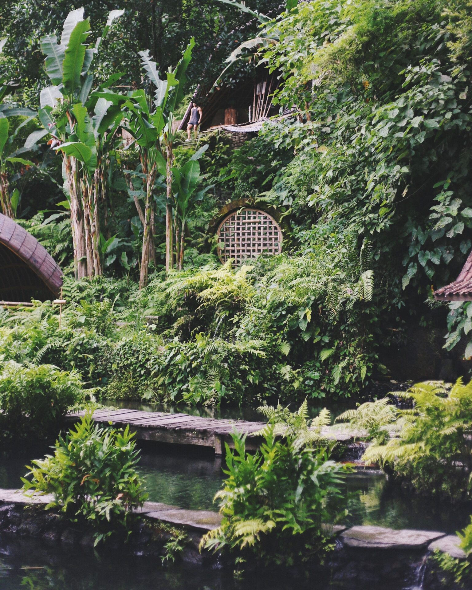 eco lodge feature