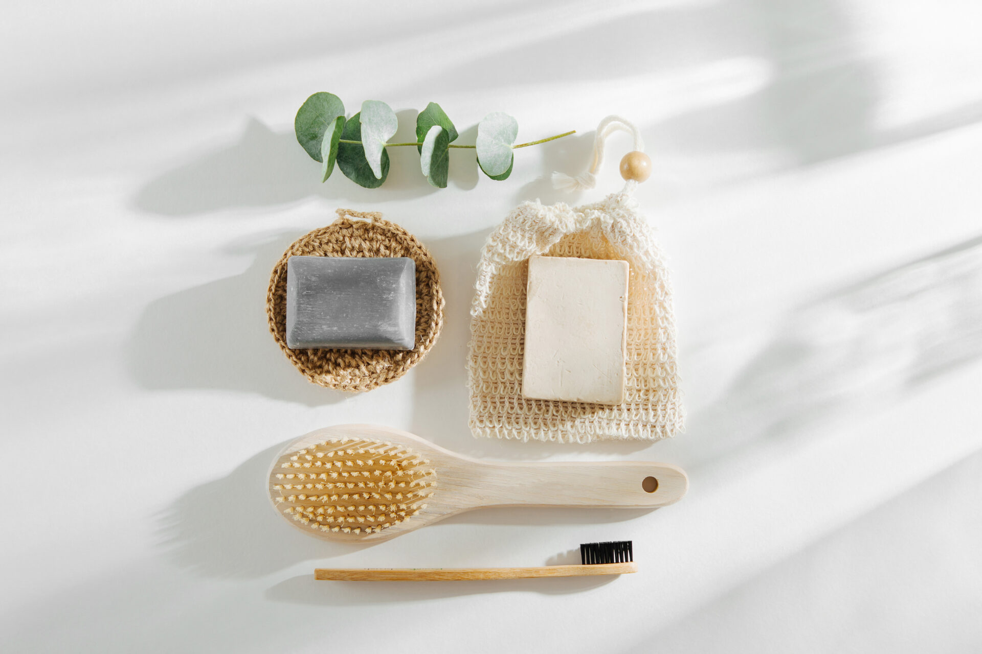 Bamboo feature image