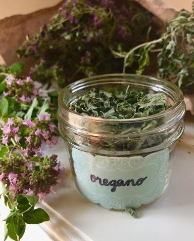 Dried Oregano leaves in a clear glass jar labelled 'oregano' by hand on a pale blue label