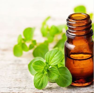 Bright green Oregano leaves lying next to a brown glass vial of essential oil on a white surface