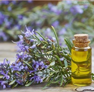 A sprig of Rosemary with blue flowers beside a small glass bottle with a cork, containing yellow essential oil