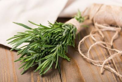 Sprigs of Rosemary tied with natural string on a wooden surface