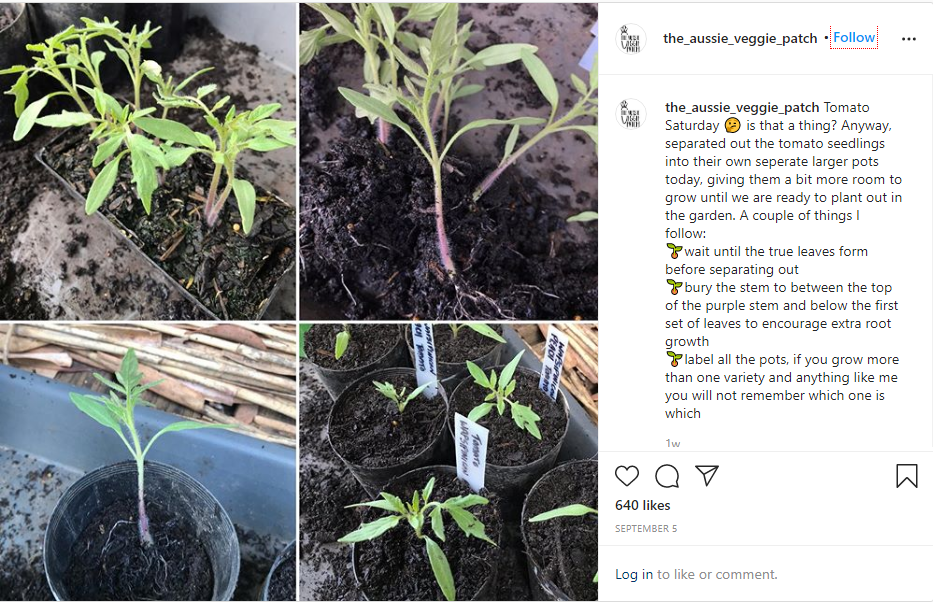 Organic plants