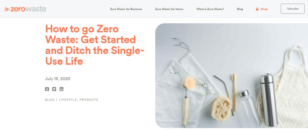 Screengrab of eco-friendly company zerowaste.com homepage. Image text says How to go "Zero Waste: Get Started and Ditch the Single-Use Life".