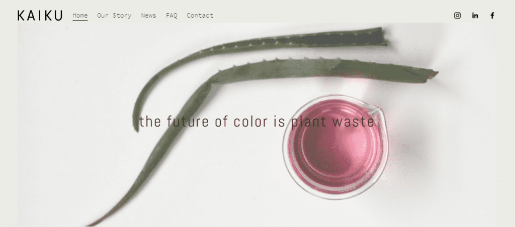 Screenshot of eco-friendly paint company kaiku.com homepage