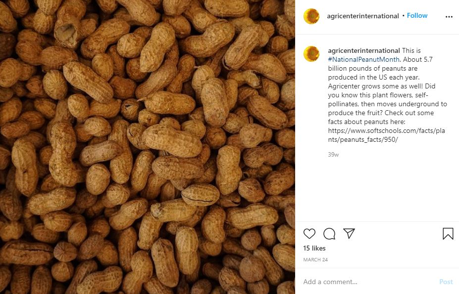 Screengrab of Peanuts for Plant-Based Milk