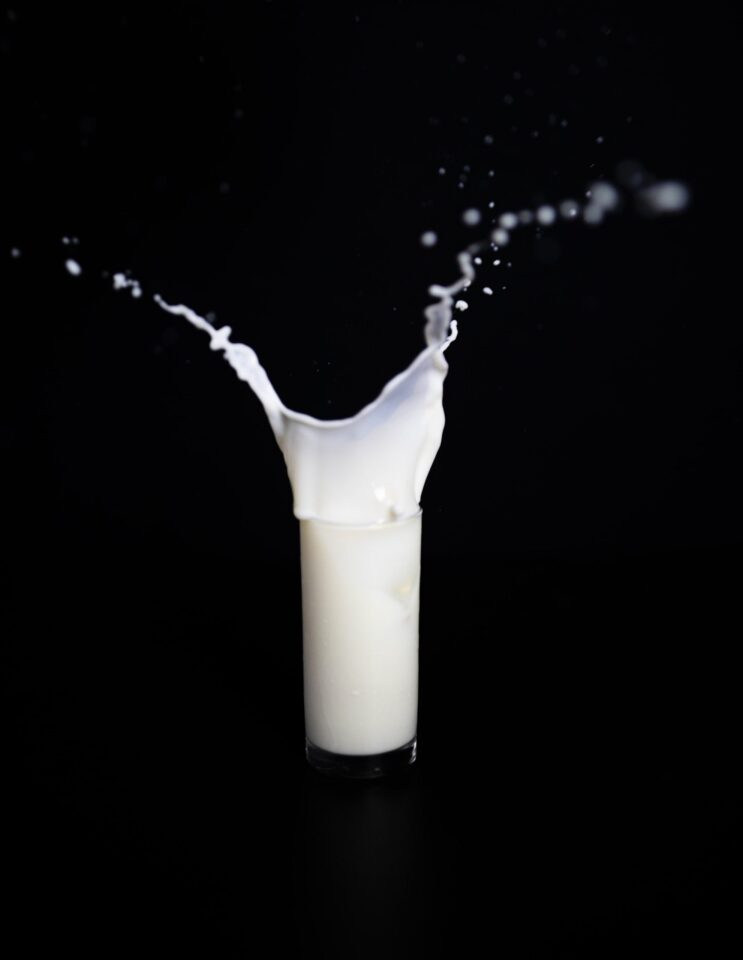 Best Plant-Based Milk