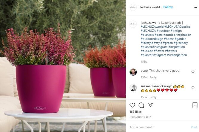 Best Self-Watering Planters