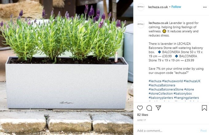 Best Self-Watering Planters - Lechuza