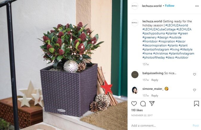 Lechuza Decorative Planter