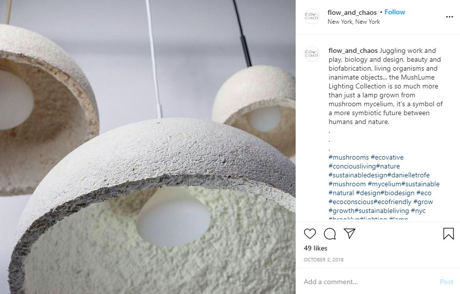 Biodegradable Mycelium Lamps
