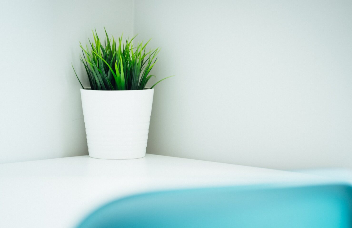 Planter Pot - dose-media - unplash royalty free