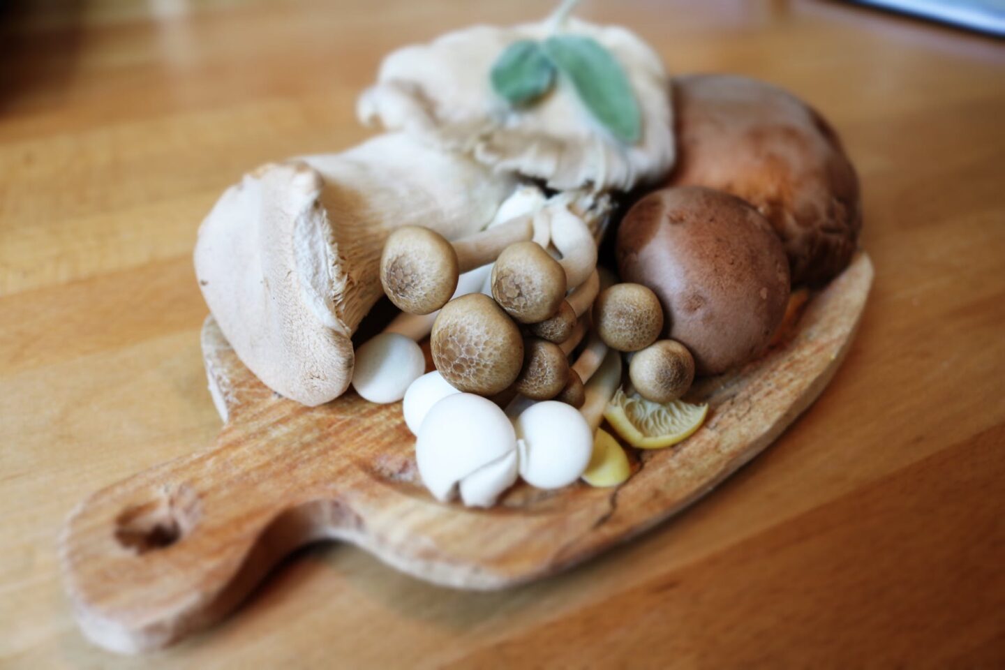 Mushroom liquid culture