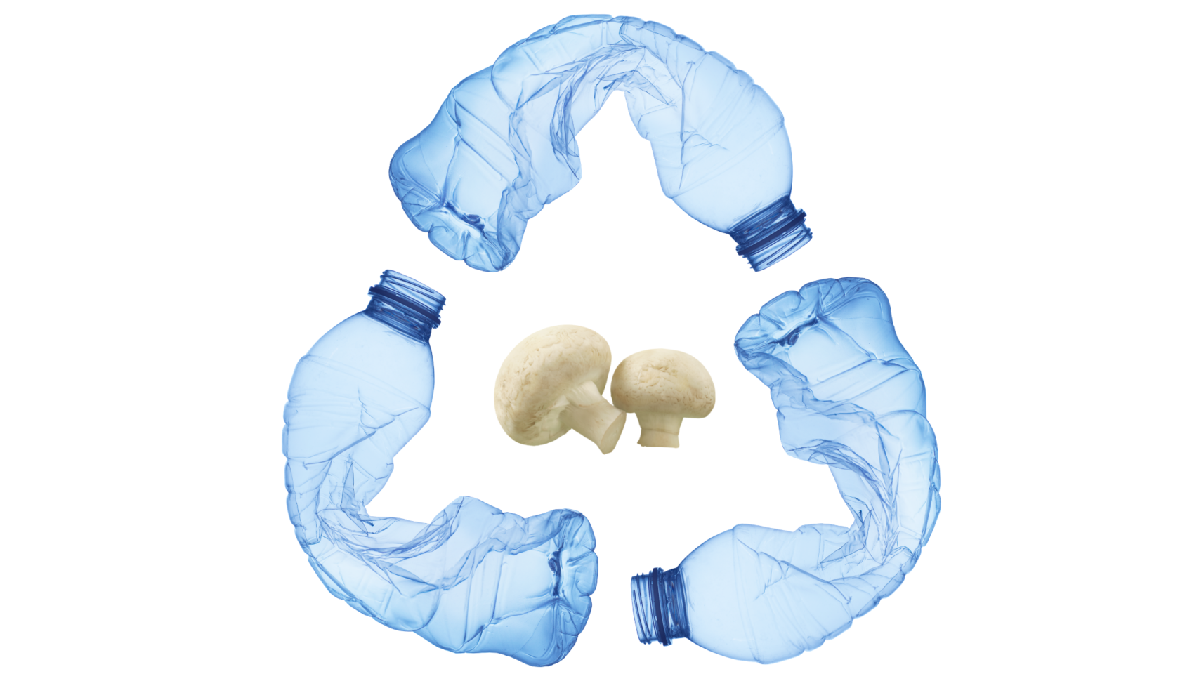 plastic bottle