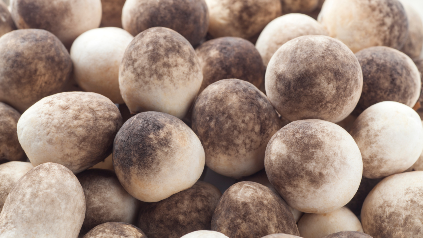 Straw mushroom feature