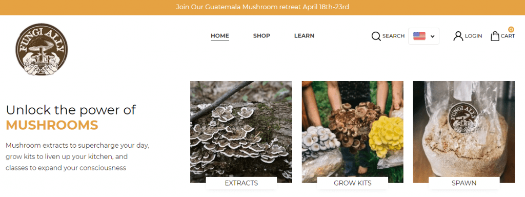Mushroom Liquid Culture - Fungi Ally home page