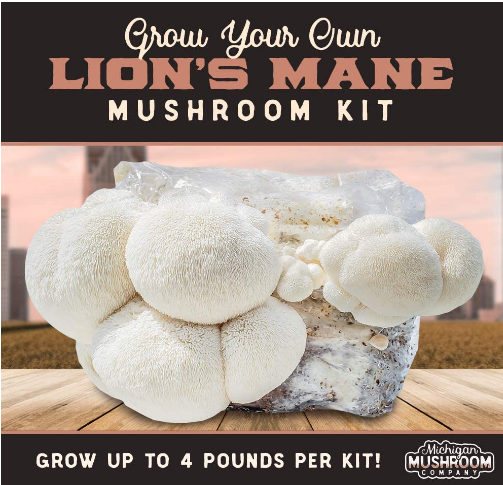 Mushroom Growing Kit from Amazon