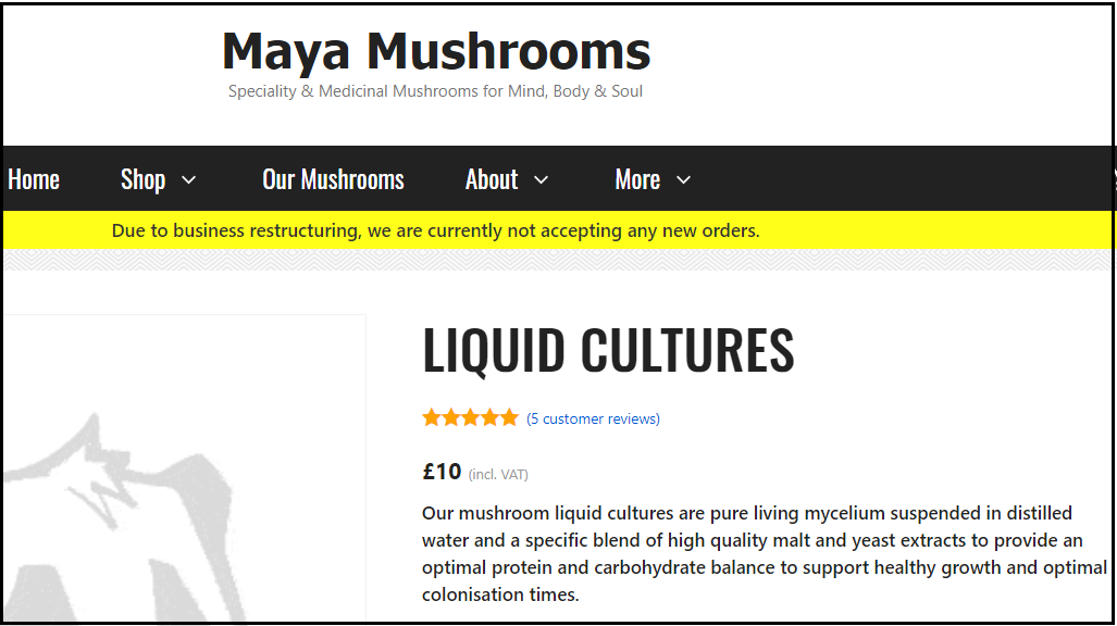 Mushroom Liquid Culture 