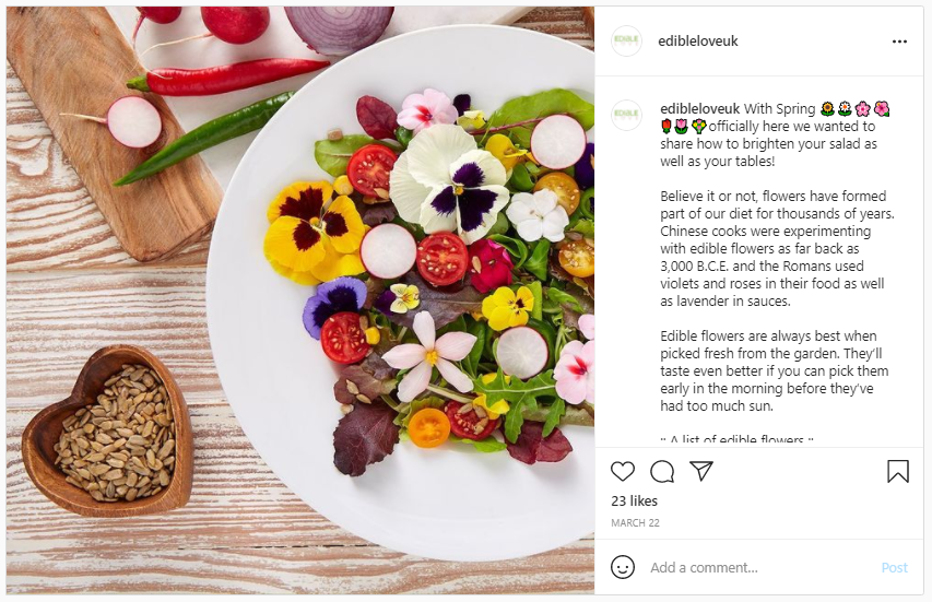 Edible flowers - Screenshot of a Pansy Salad from Instagram