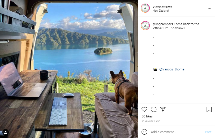 Living in a Van - Dog and Laptop - Screenshot from Instagram