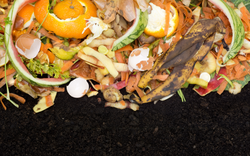Composting Food Waste - Free Image from Canva of food scraps and soil