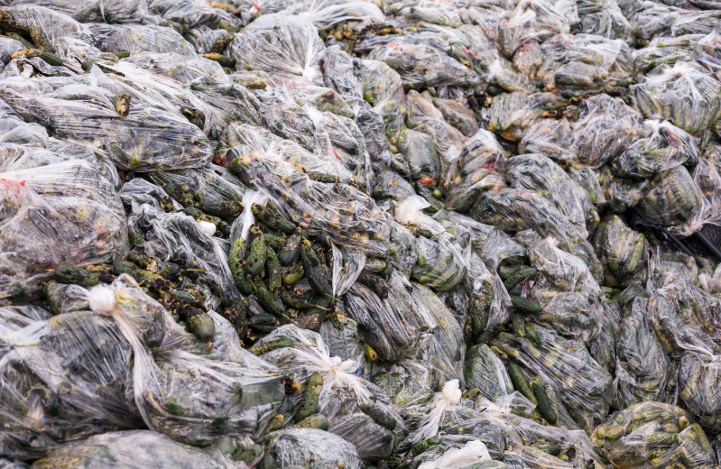 Food waste - Cucumbers in plastic in a landfill