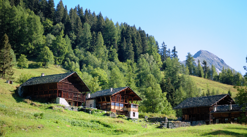 Living off the grid - Free image from Canva of a remote homestead in the woods