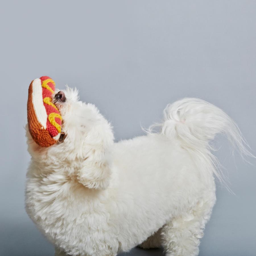 Eco-friendly Dog Toys - Ware of the Dog - Image of a fluffy dog chewing a crocheted hot dog