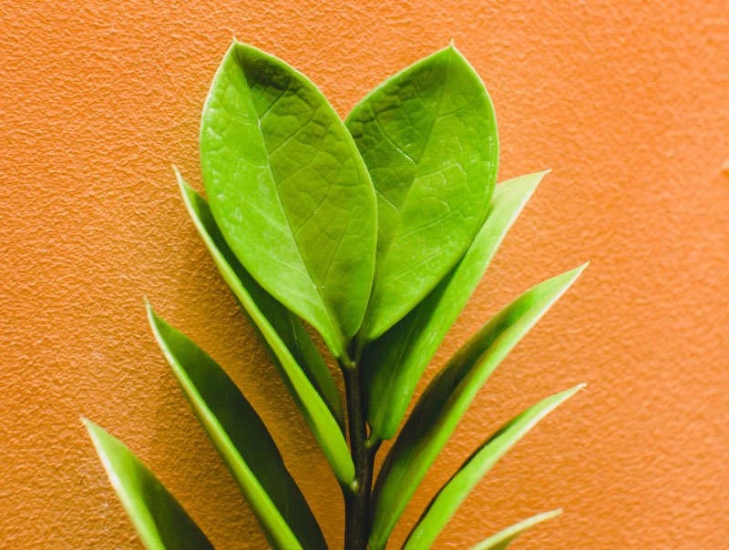 Great Reasons to Switch to Eco-Friendly Paint