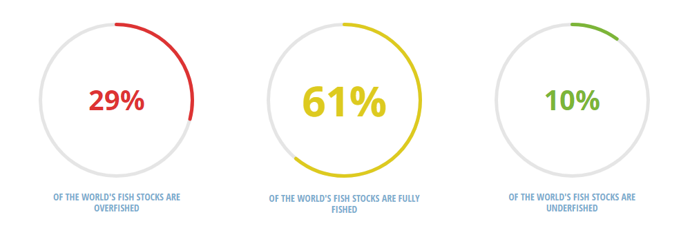 Sustainable Fishing Methods - Graphic by WWF of overfishing stats 