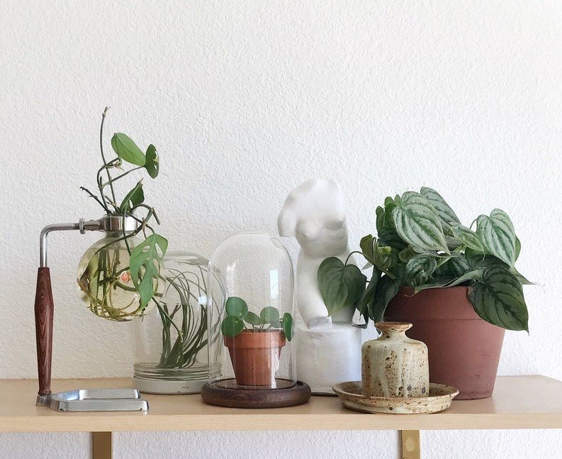 Eco-friendly gifts - Simply Chi Vintage Glass Planter Bell and Jar