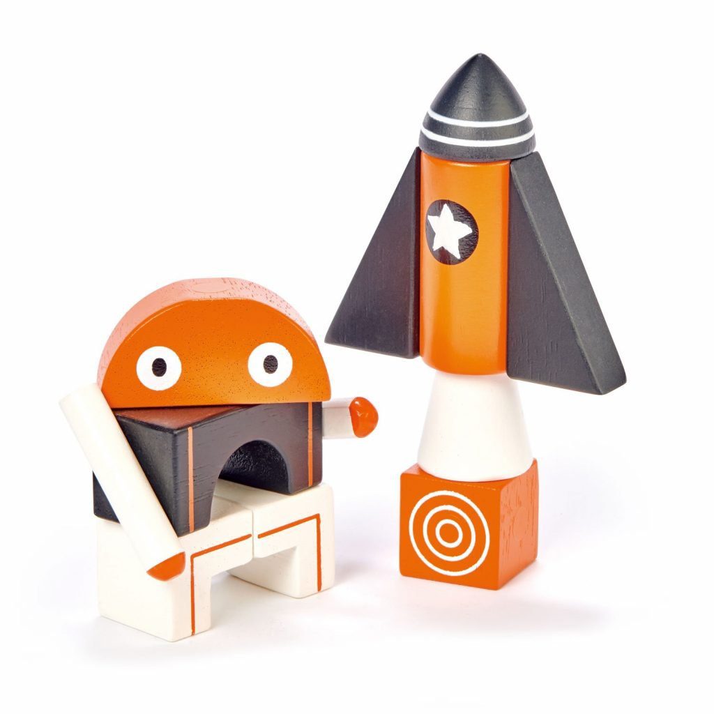 Eco-friendly gifts - Tender Leaf Toys - Magnetic Block Set