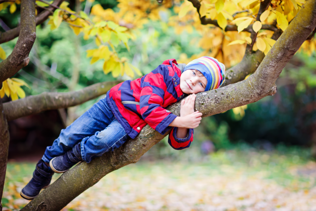 Teaching kids about sustainability - image of young boy climbing a tree and hugging the branch