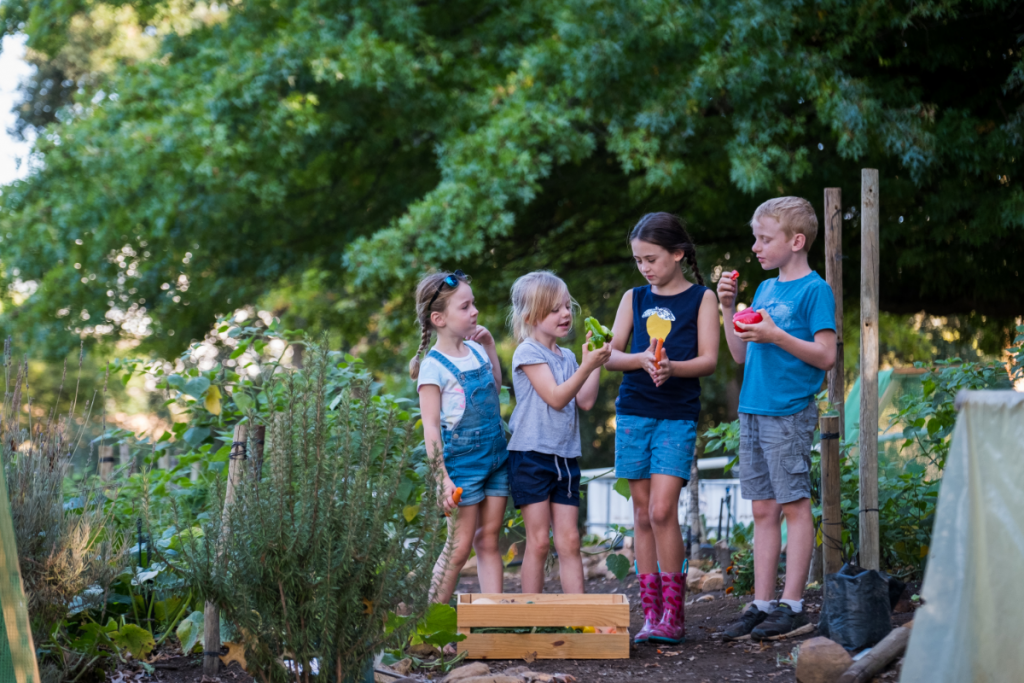 Teaching kids about sustainability -four young kids in a veggie garden