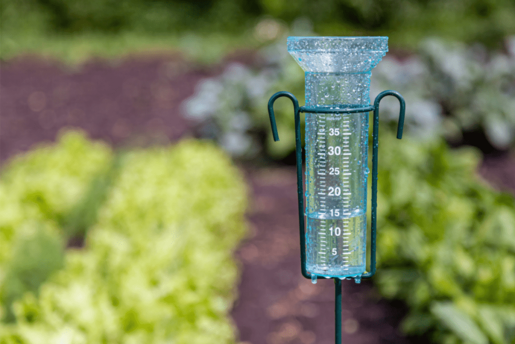 Ways to Conserve Water - Image of a Rain Gauge in front of a Rain Garden