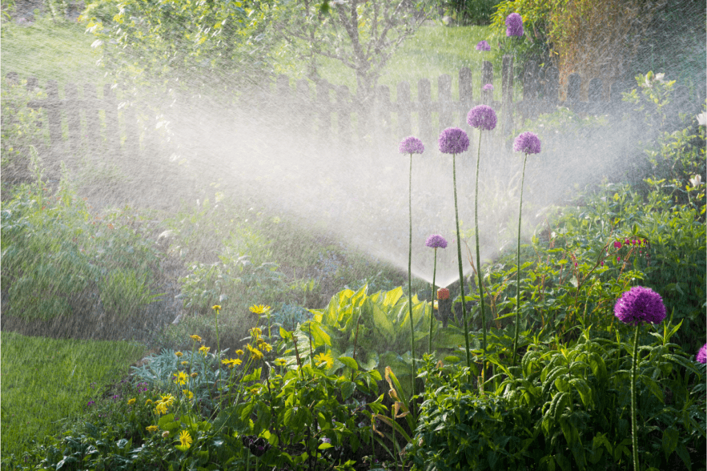 rainwater and greywater harvesting - sprinkler watering flowers