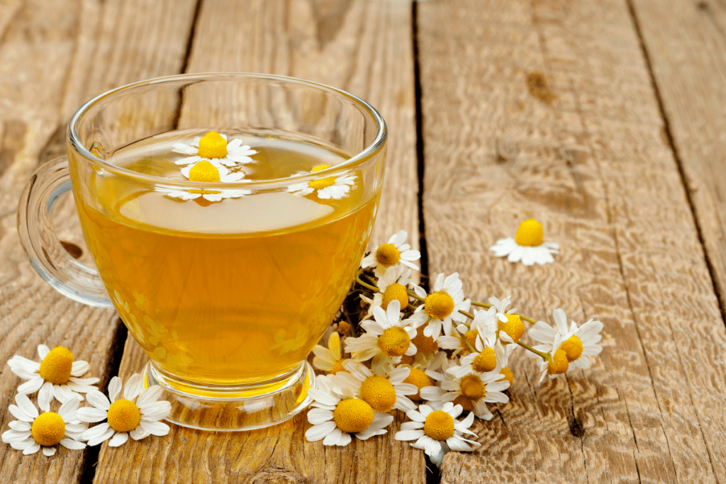 Growing Chamomile Indoors - Chamomile Tea in a glass cup with flowers next to it on a wooden surface