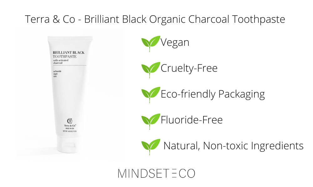 Vegan Beauty Products - Terra and Co Activated Charcoal Toothpaste