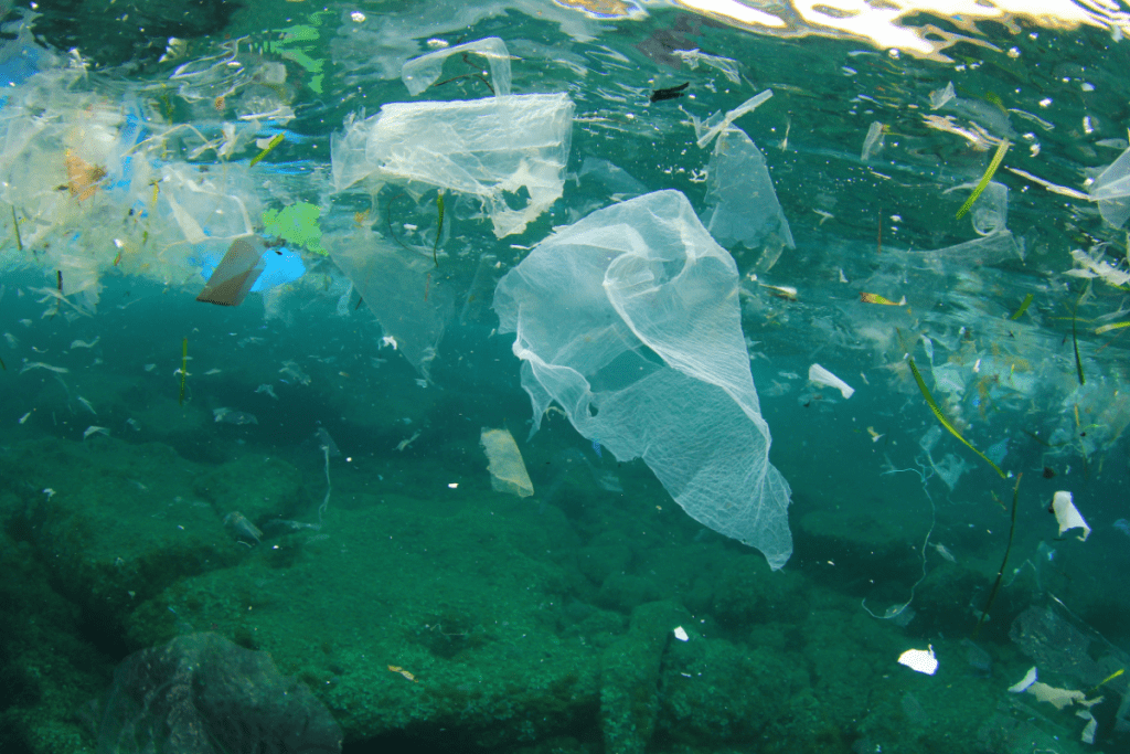 Plastic-free Home - Stock image from Canva of plastic items floating in the ocean, underwater