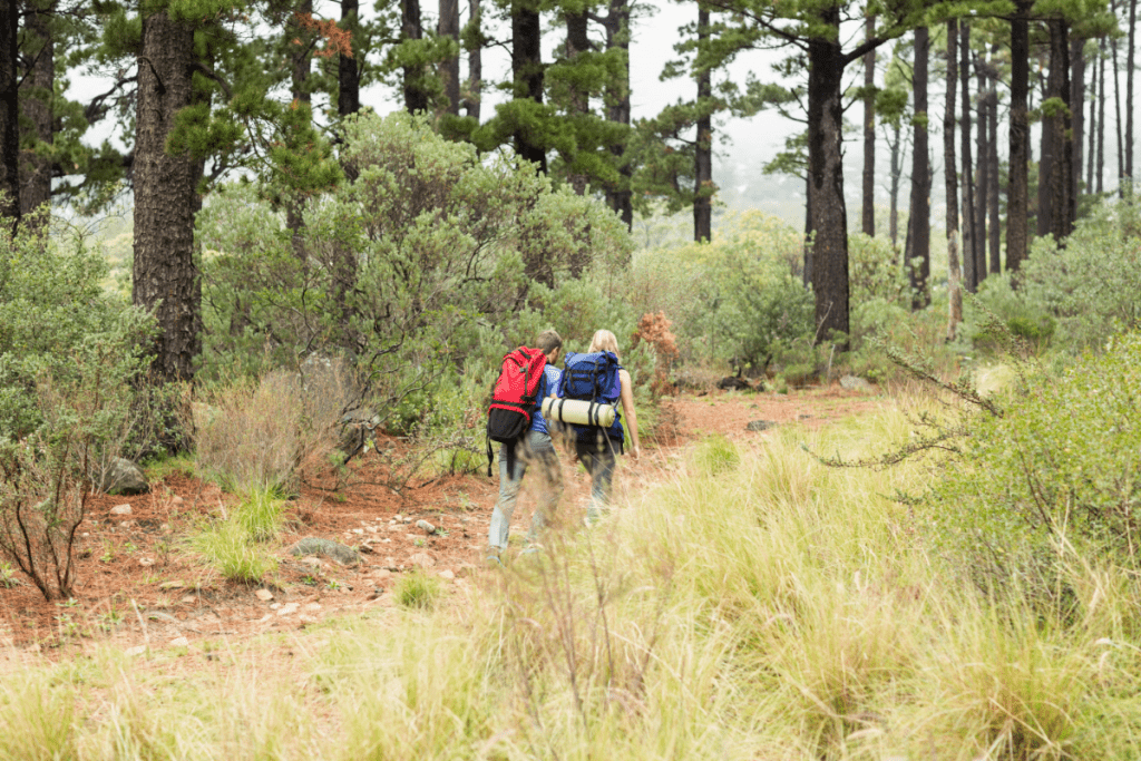 Invasive species can be carried on hiking gear - image of a couple hiking in the woods