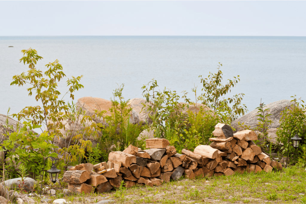 Stack of fire wood outdoors with lake, grassland and forest in the background