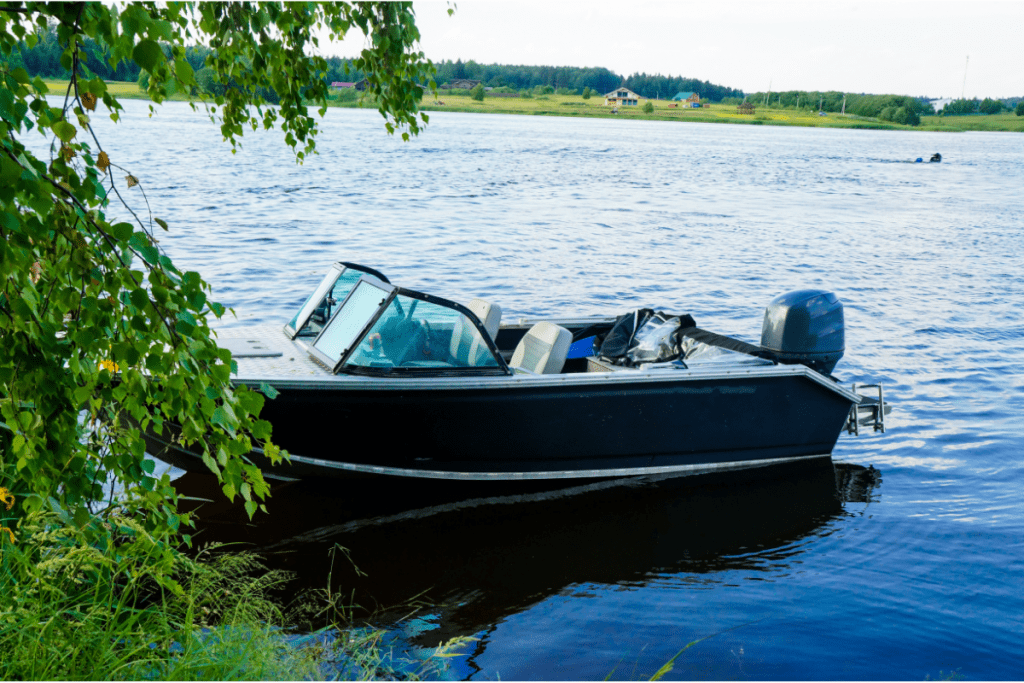 Invasive species - stock image of a motor boat on a lake, next to the plants on the shore