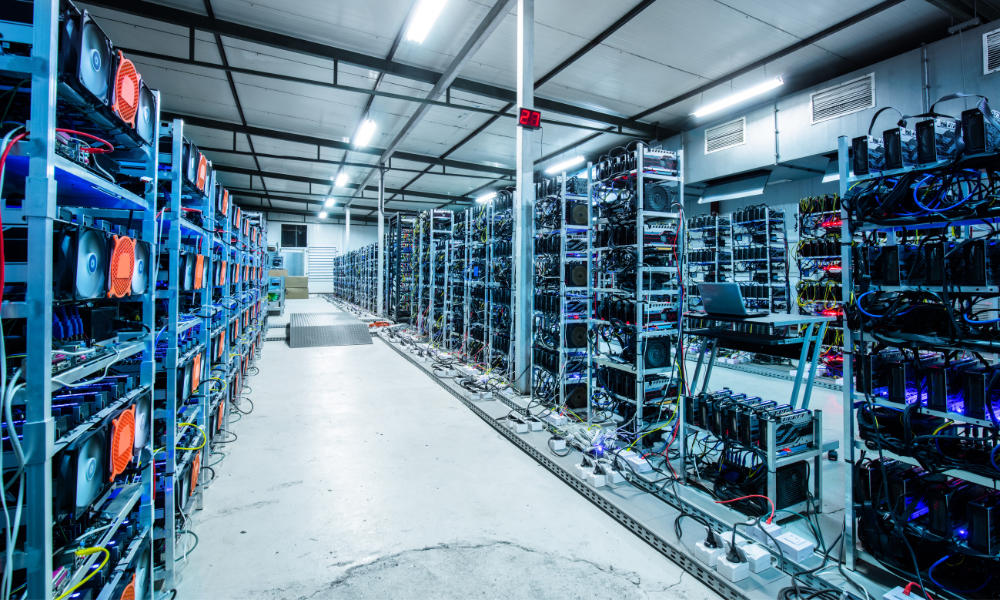 Eco-friendly Crypto Companies - Image of a conventional crypto mining farm with rows and rows of ceiling height shelves stacked with computer hard drives that run 24/7