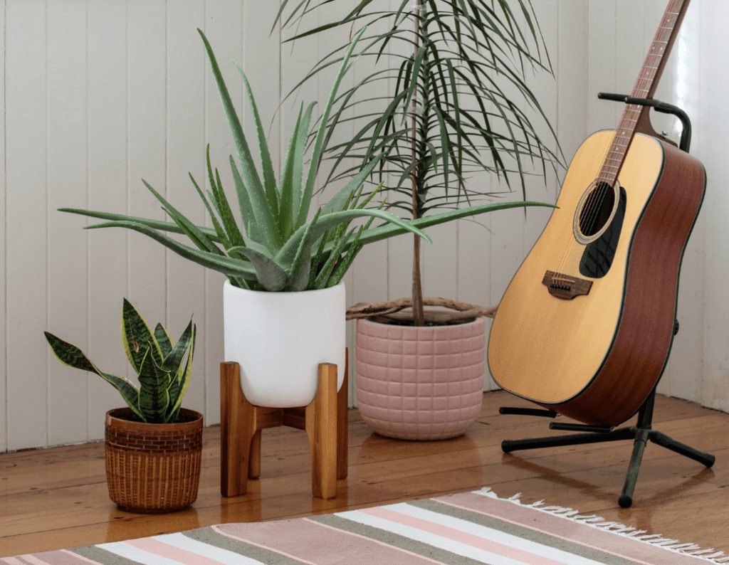 Indoor Air Quality - Indoor Plants in Pots in a Boho Chic style home