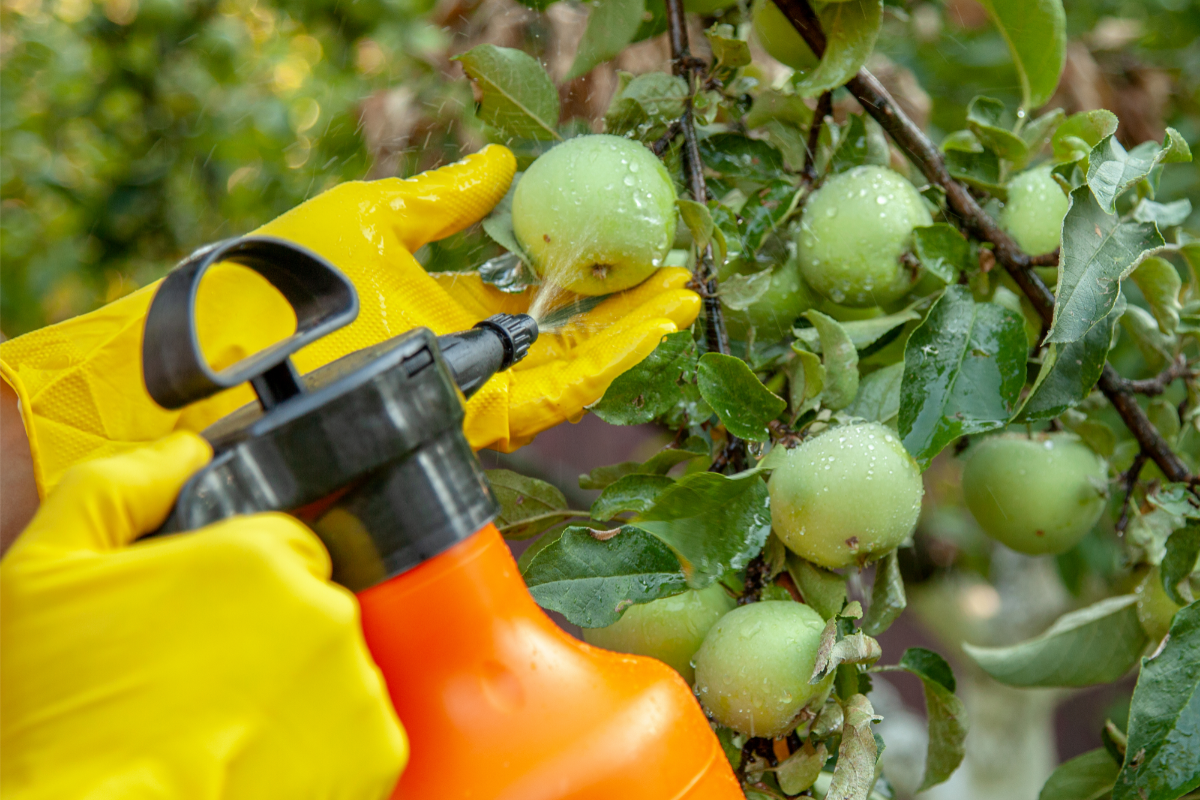 Eco-friendly Pesticides - Insecticidal Soap Spray