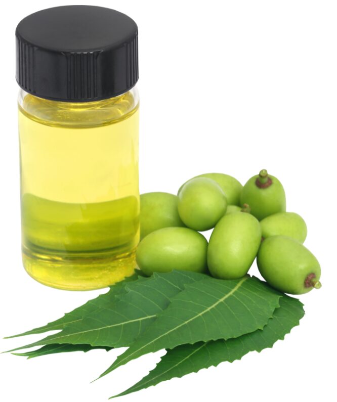 Eco-friendly Pesticides - Neem Oil