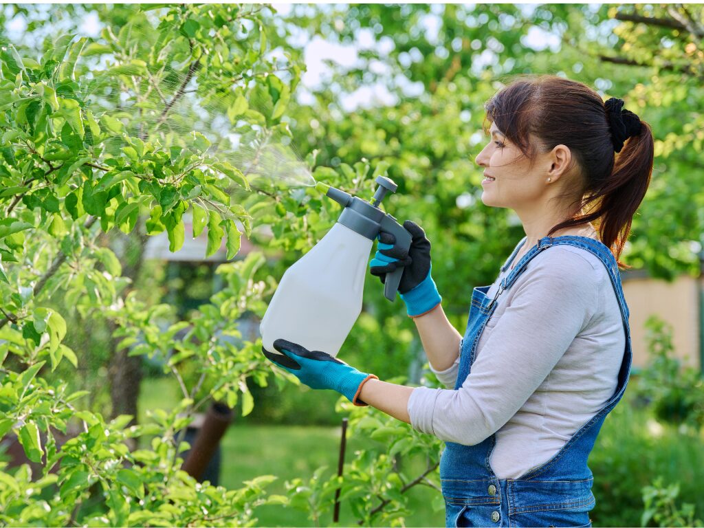 Natural Herbicide: Salt & Vinegar