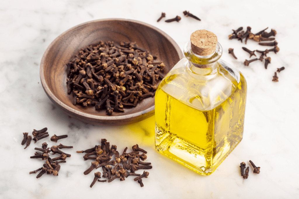 Eco-friendly Essential Oils - Clove Oil in a clear glass bottle and a wooden bowl of cloves